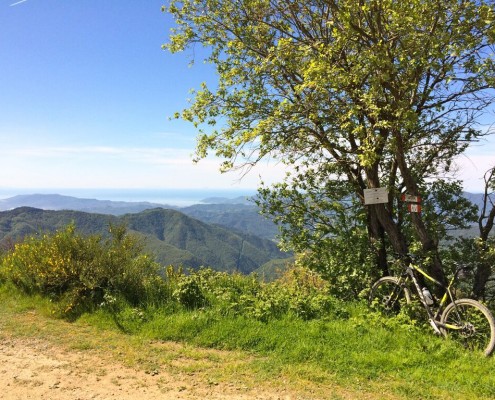 Alta via dei Monti Liguri MTB