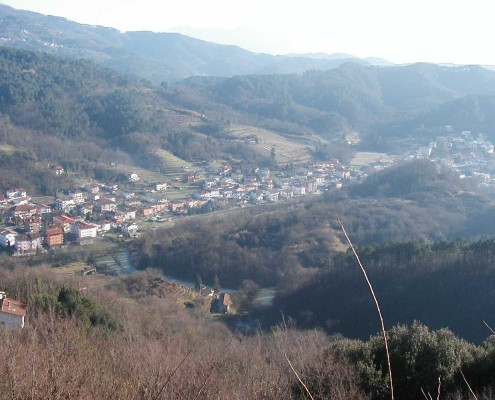 Riccò Panorama